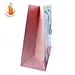 bags luxury shopping bag